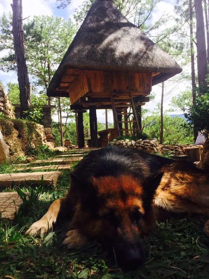 Sagada Heritage Village Exteriér fotografie